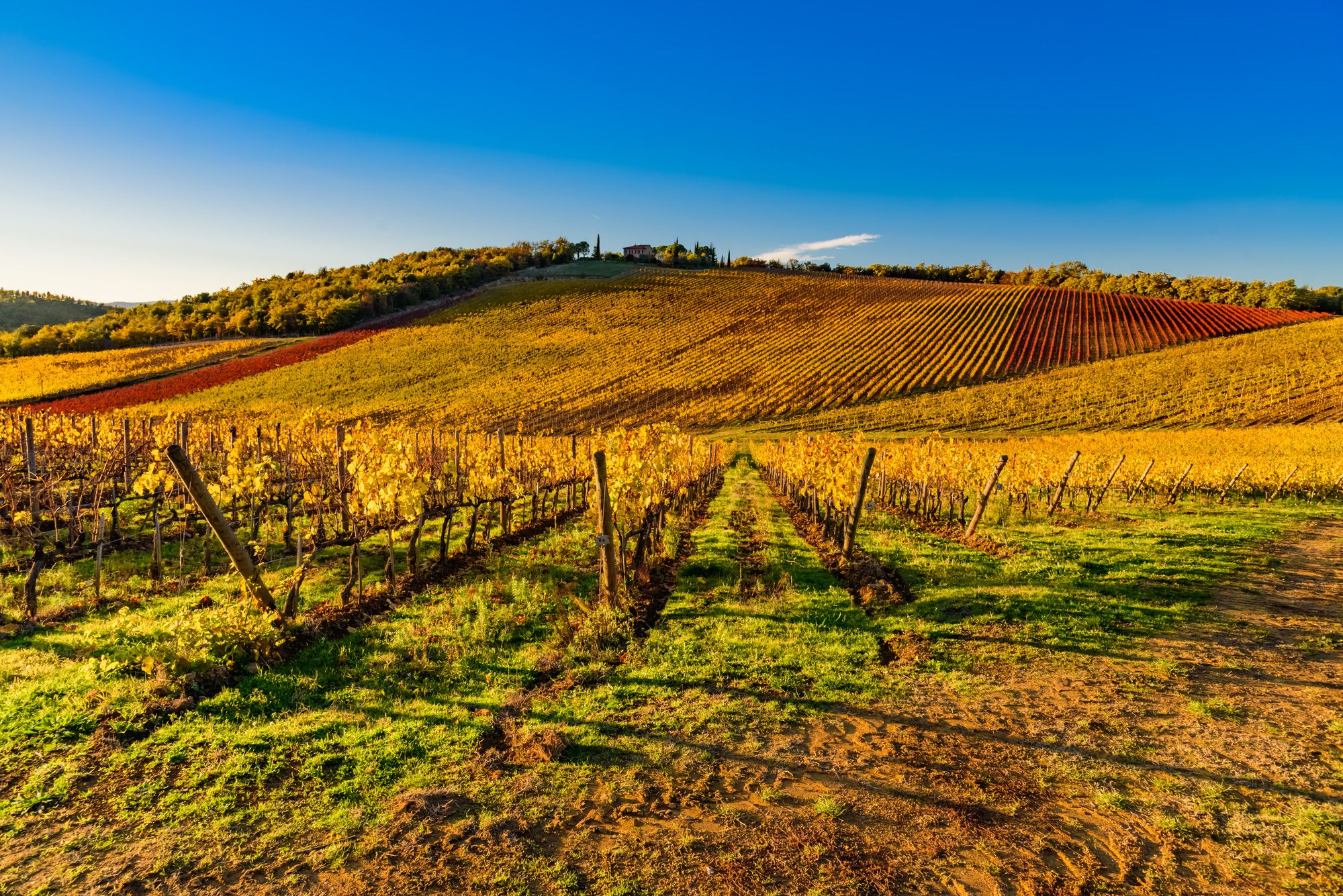 I colori dell’autunno nelle campagne toscane ©DiegoMariottini/Shutterstock