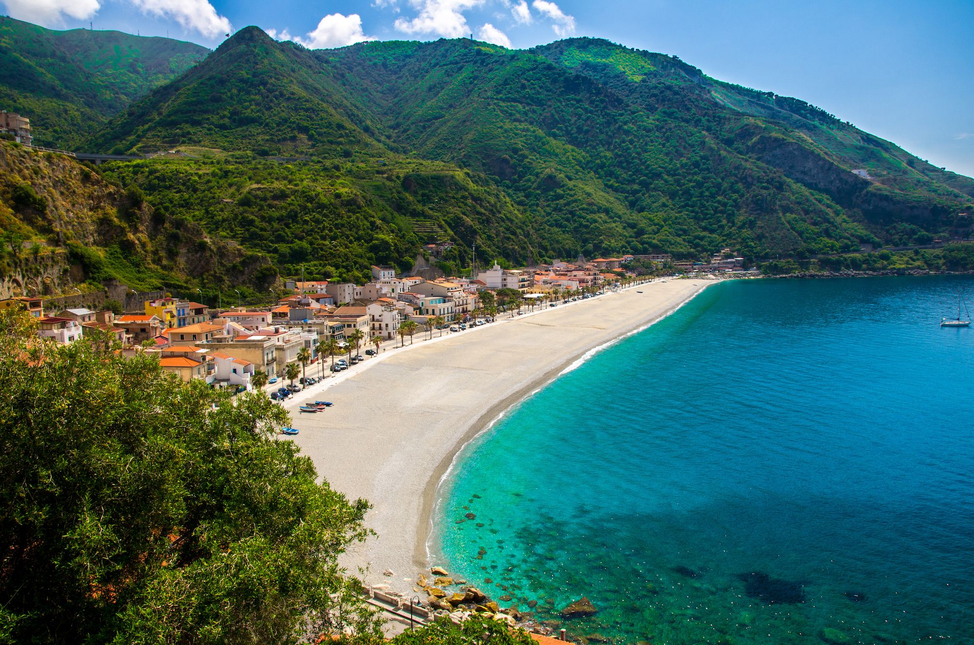 Scilla