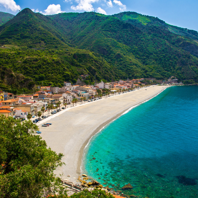 Scilla