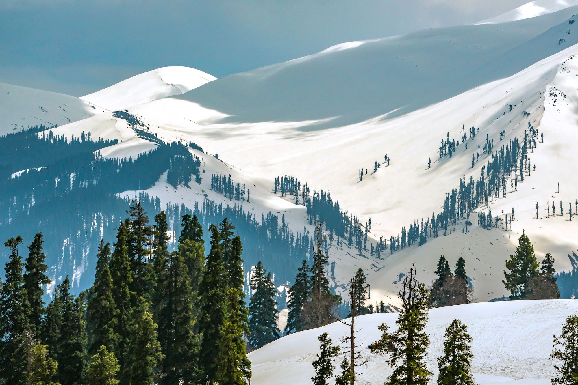 Gulmarg è l’unico comprensorio sciistico al mondo dove si vede uno degli ottomila: il Nanga Parbat ©Hari Mahidhar/Shutterstock