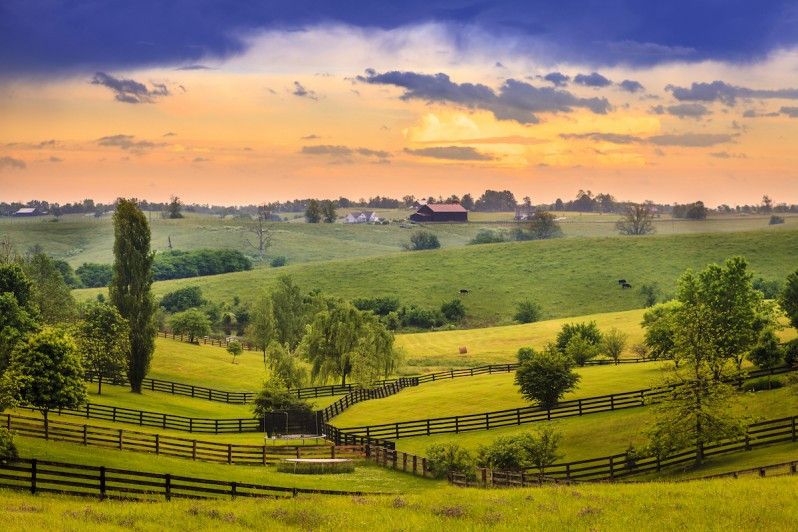 Distese di (blue)grass in Kentucky, fotografia © alexeys, iStock