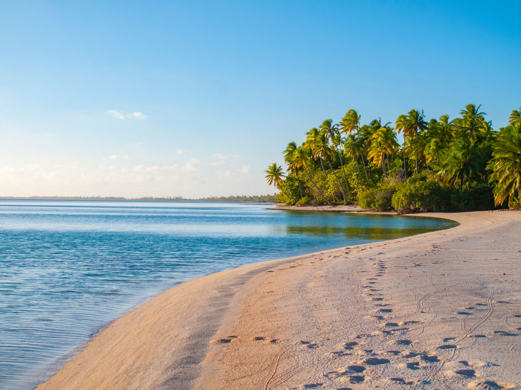 spiaggia e palme in Polinesia Francese