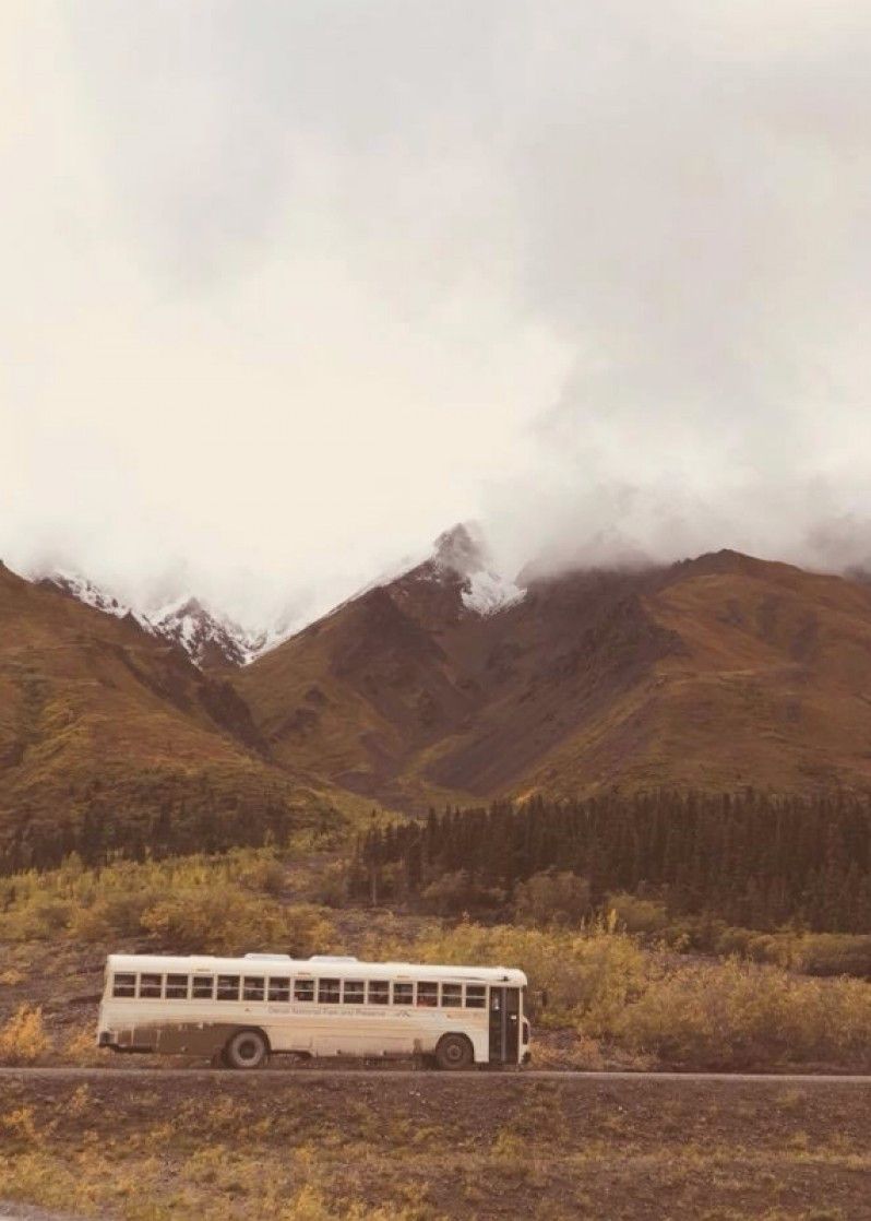 È possibile visitare il Denali Park con bus che vi porteranno nell'interno, Alaska.