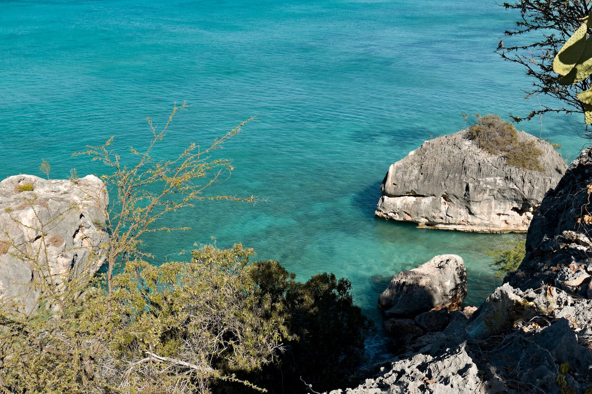 Il Jaragua National Park è una delle riserve naturali più importanti della Repubblica Dominicana ©Rostasedlacek/Shutterstock