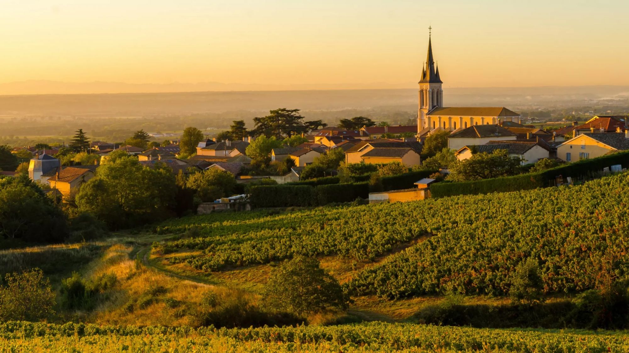 Una veduta di Fleurie, in Francia, al mattino presto. Alec Issigonis/Shutterstock