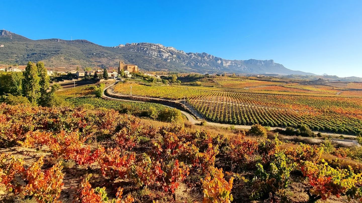Godetevi gli splendidi colori dell’autunno in Spagna, in regioni come La Rioja. Jesus Ignacio Bravo Soler/Shutterstock