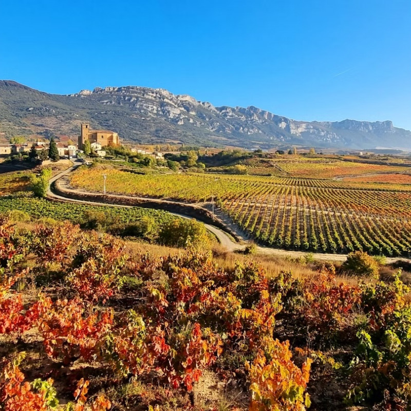 Godetevi gli splendidi colori dell’autunno in Spagna, in regioni come La Rioja. Jesus Ignacio Bravo Soler/Shutterstock
