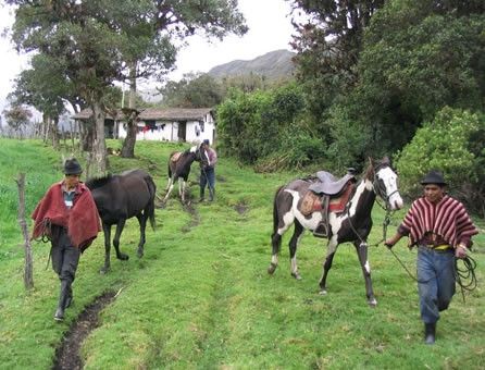 Ecuador, la natura vi aspetta © Fotografia di Filippo Gherardi