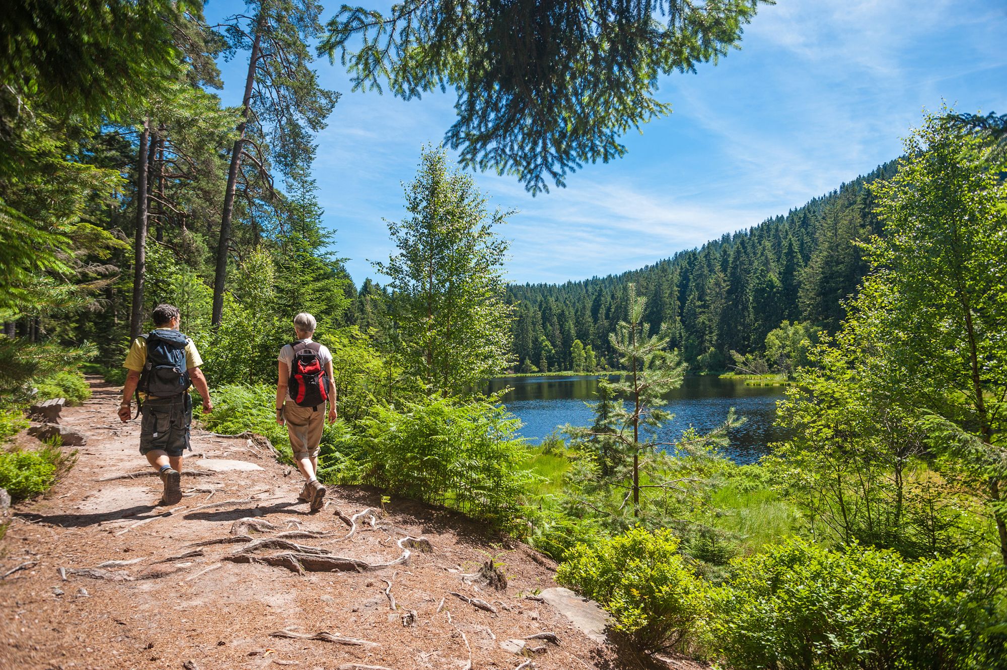 Escursionisti nella magica Foresta Nera © Juergen Wackenhut / Shutterstock Images