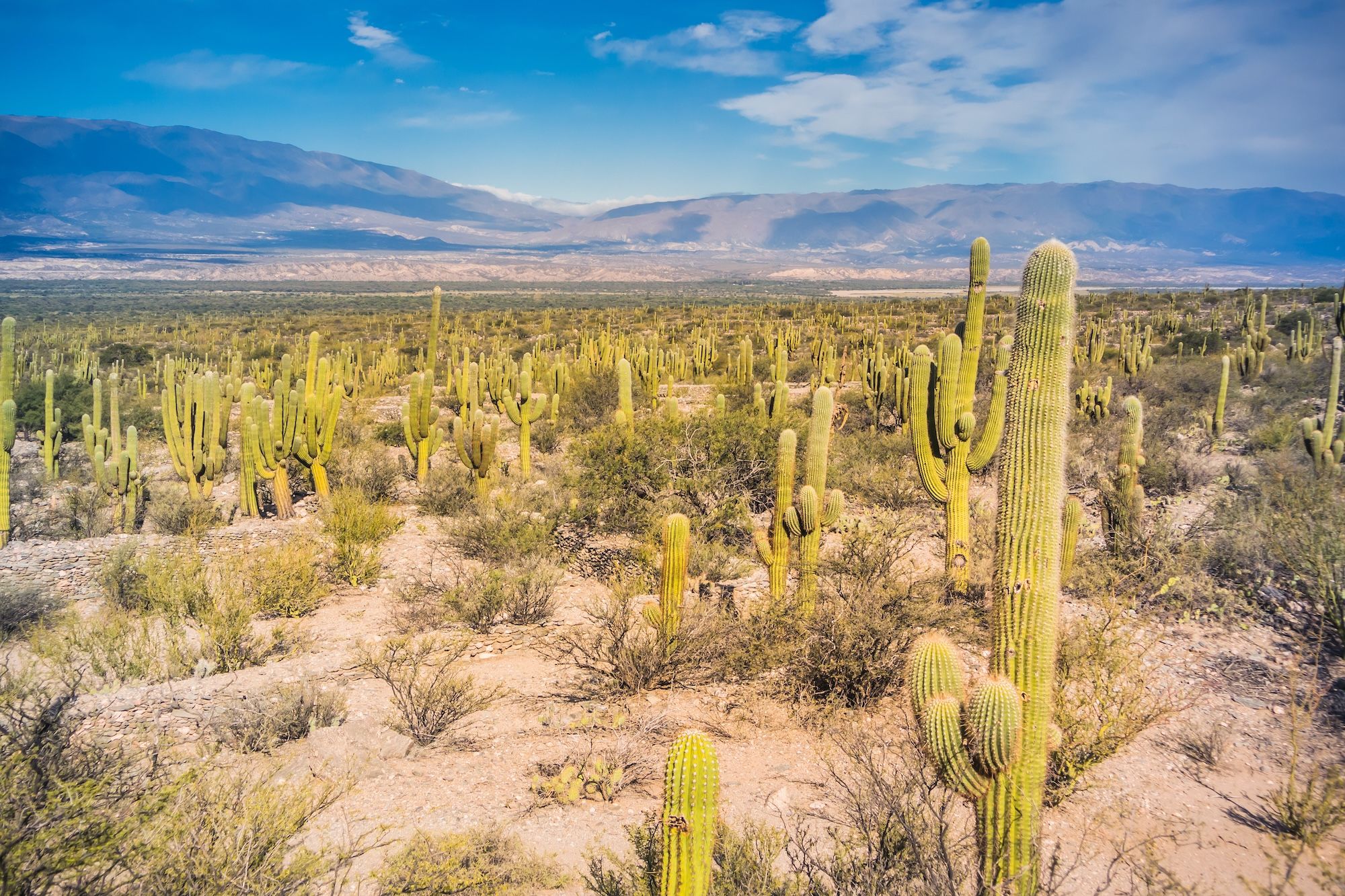 Il paesaggio nei dintorni di Tucumán ©Guaxinim/Shutterstock