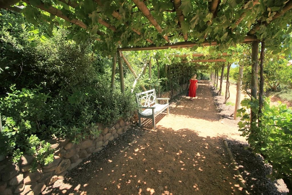 Babylonstoren presenta elementi ispirati a giardini di tutto il mondo. © Marco von Rehbinder / Shutterstock