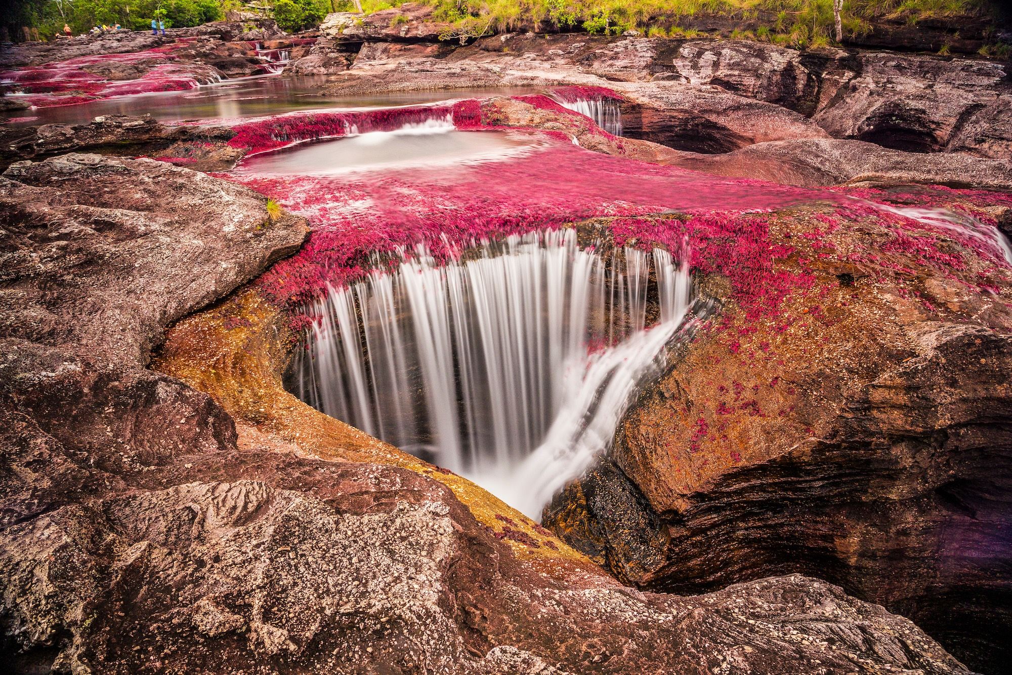 Caño Cristales