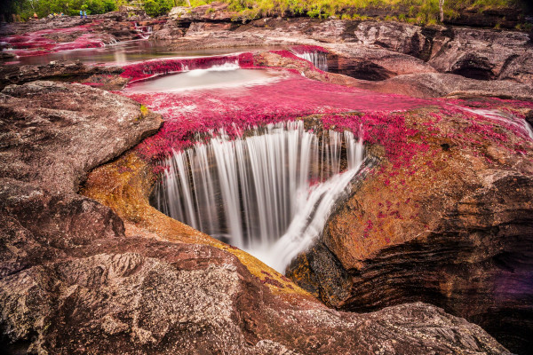 Caño Cristales, conosciuto anche come ‘Fiume dei Cinque Colori’ o ‘Arcobaleno Liquido’ ©Jorge Ivan Vasquez C/Shutterstock