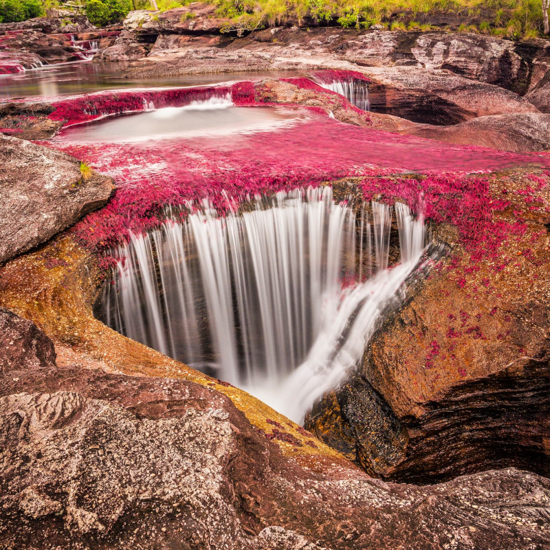 Caño Cristales