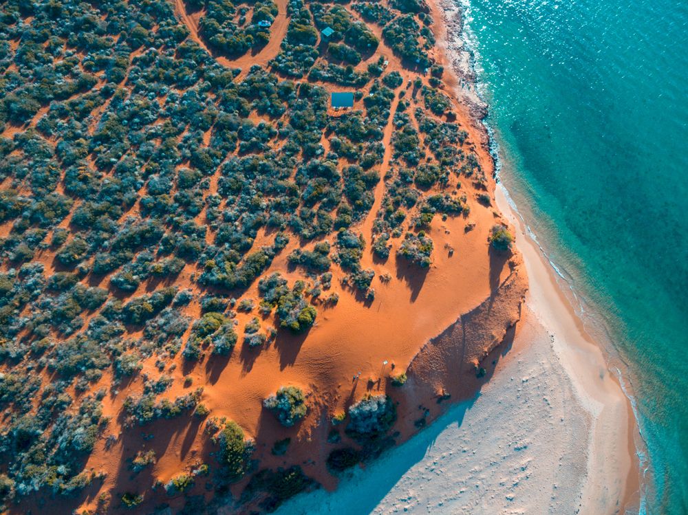 Shark Bay. Credits iacomino FRiMAGES / Shutterstock