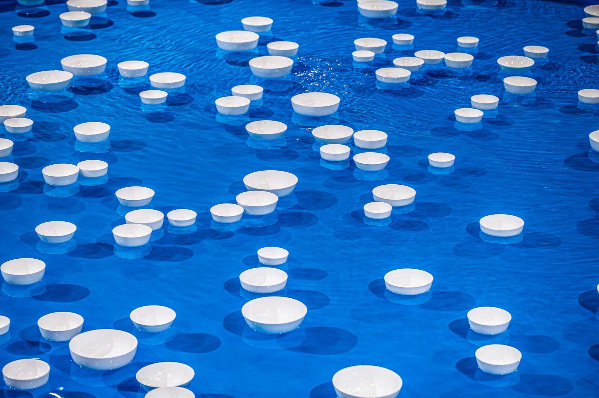 Céleste Boursier-Mougenot, clinamen (v.9), 2023, ACC photo by Design IAM