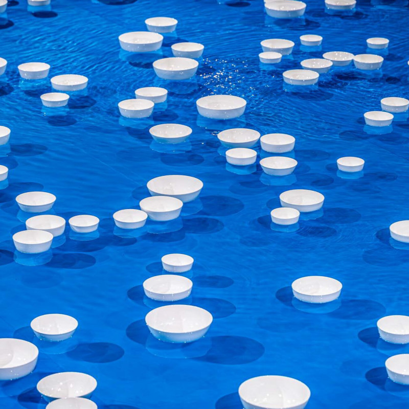 Céleste Boursier-Mougenot, clinamen (v.9), 2023, ACC photo by Design IAM