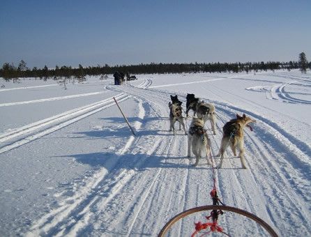 Finlandia, perfetta per Natale © Fotografia di Manuel Cazzaniga