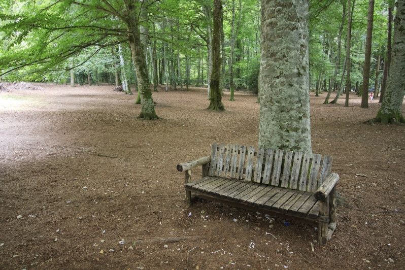 Foresta Umbra, sorpresa oltre le spiagge