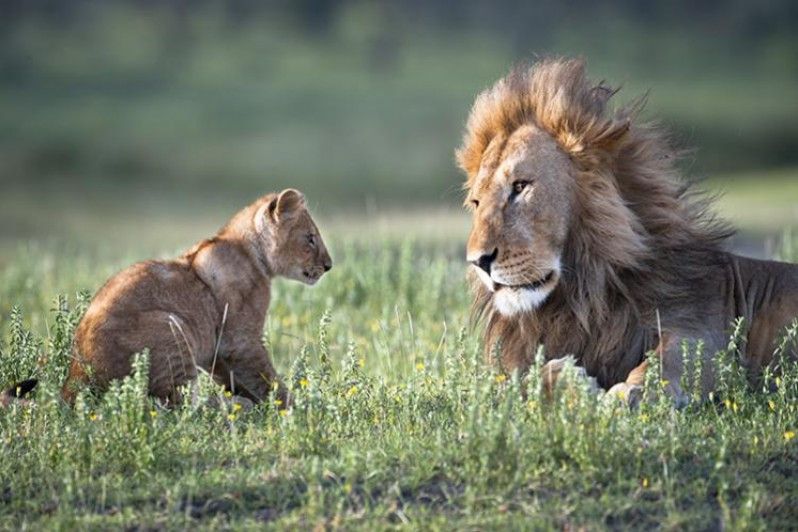 Foto Barcroft/Barcroft Media/Getty