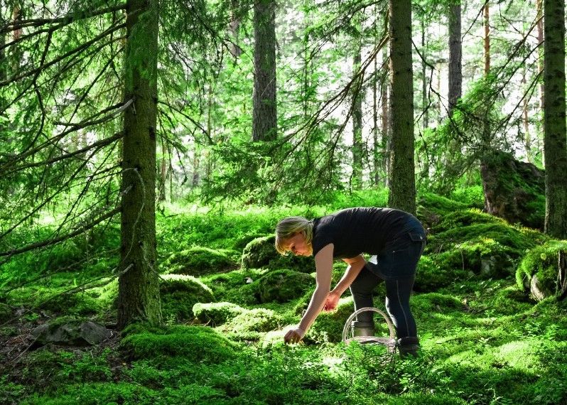 Frutti di bosco e funghi sono tra i prodotti tipici finlandesi che potrete scoprire nei mercati alimentari locali. ©Sitikka/Getty Images