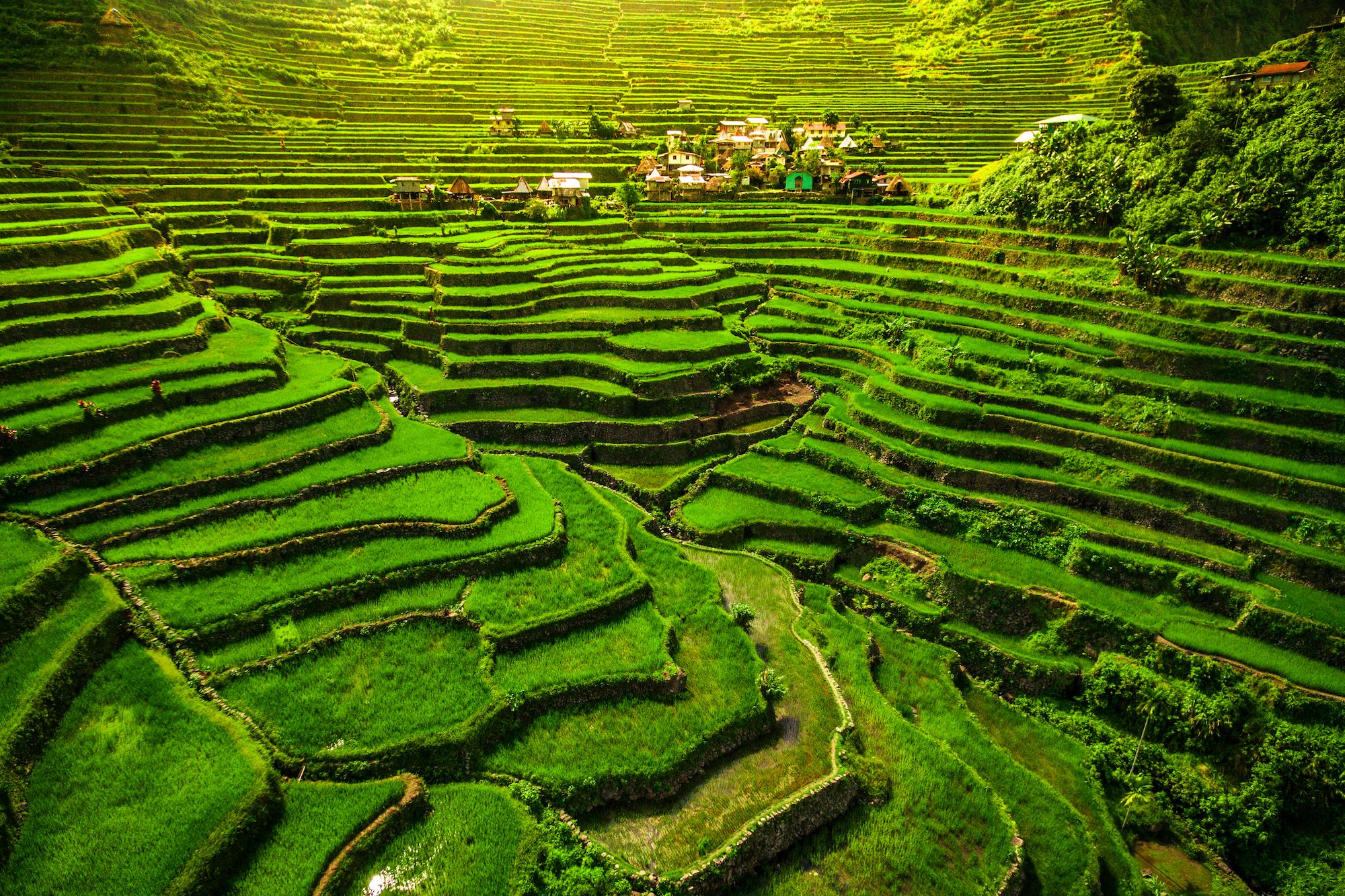 I terrazzamenti del North Luzon ©R.M. Nunes