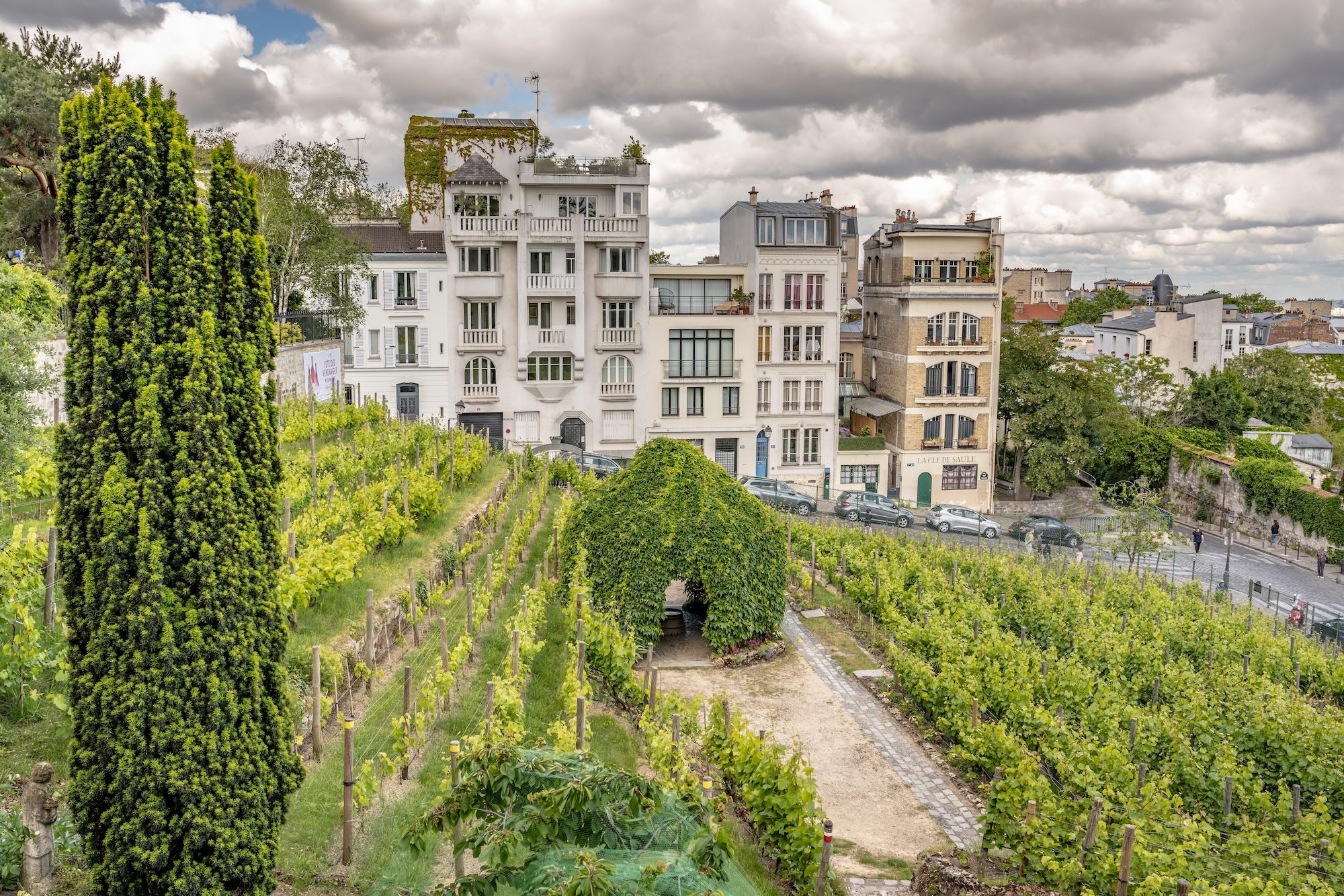 Clos Montmartre, il vigneto più famoso di Parigi ©Page Light Studios /Shutterstock
