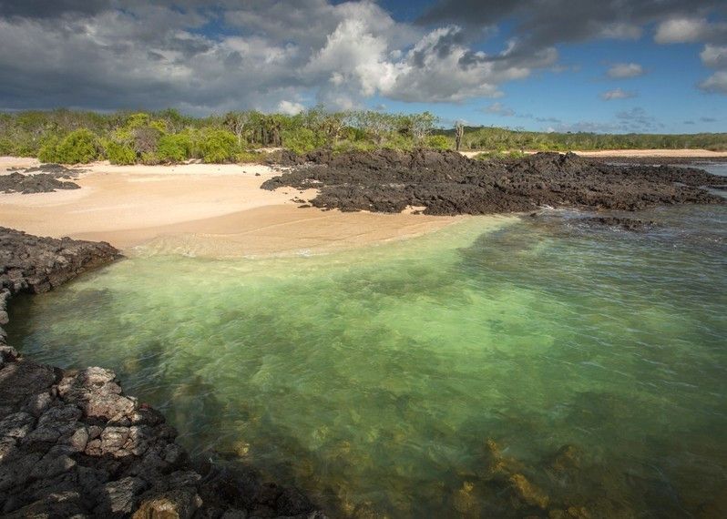 Galapagos, Isola Santa Cruz. Ecuador. ©Philip Lee Harvey/Lonely Planet