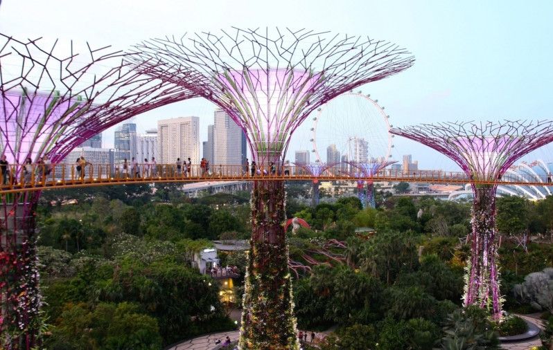 Gardens by the Bay