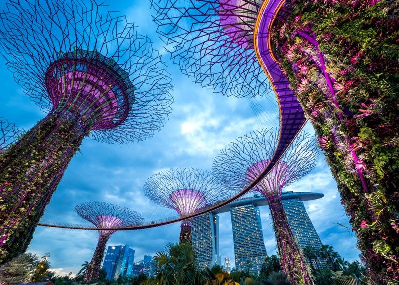 Gardens by the Bay, Singapore ©Kanuman/Shutterstock