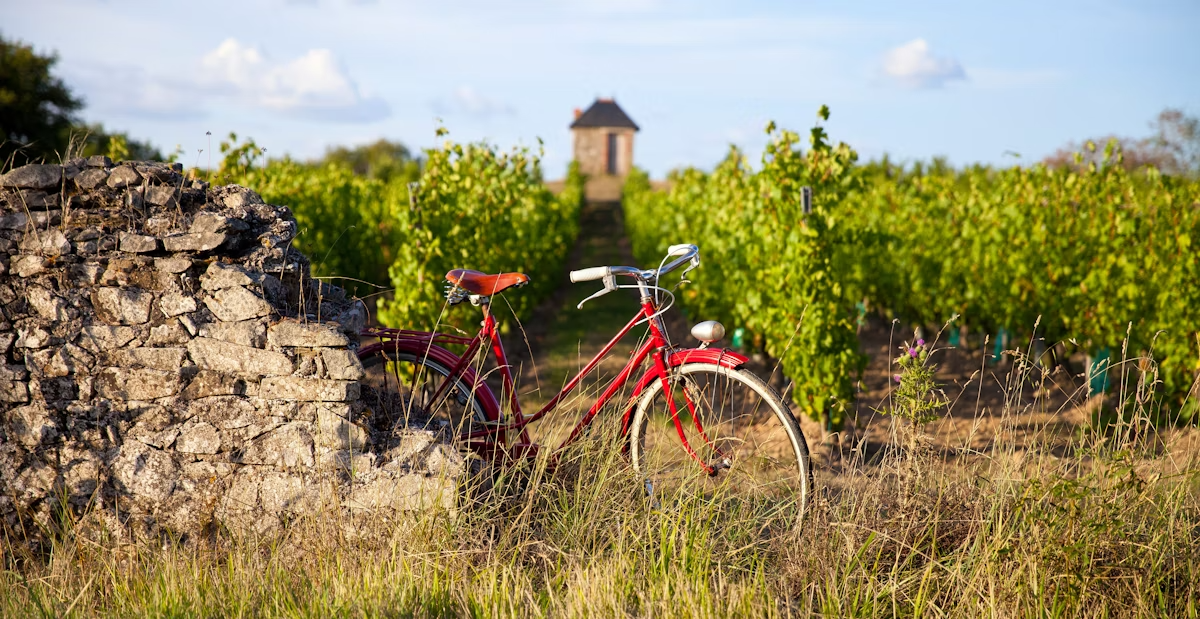 Pernottate in un vigneto nella regione di Bordeaux. Labellepatine/Shutterstock