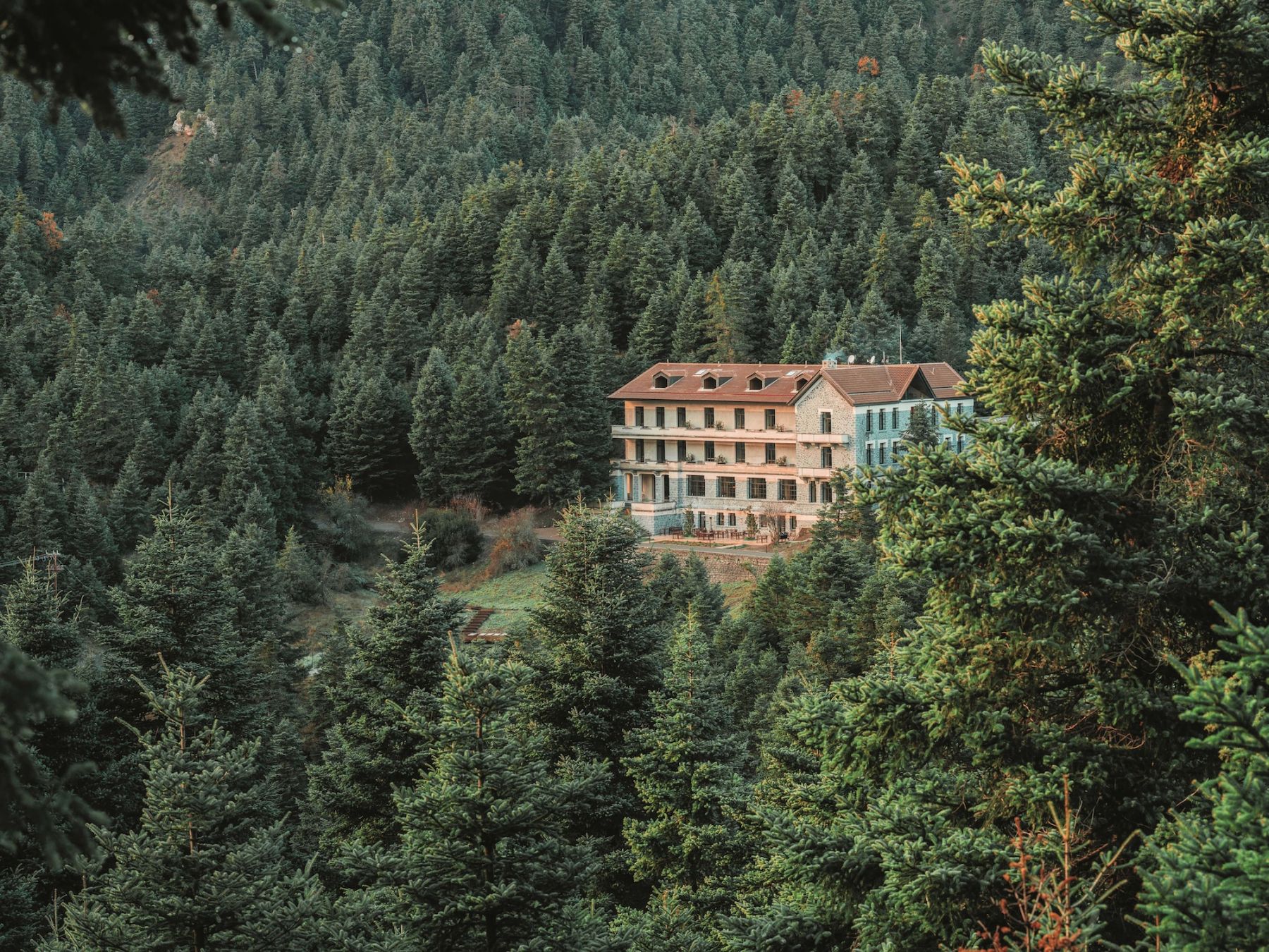 L’hotel MANNA tra gli abeti dell’Arcadia ©Courtesy of MANNA