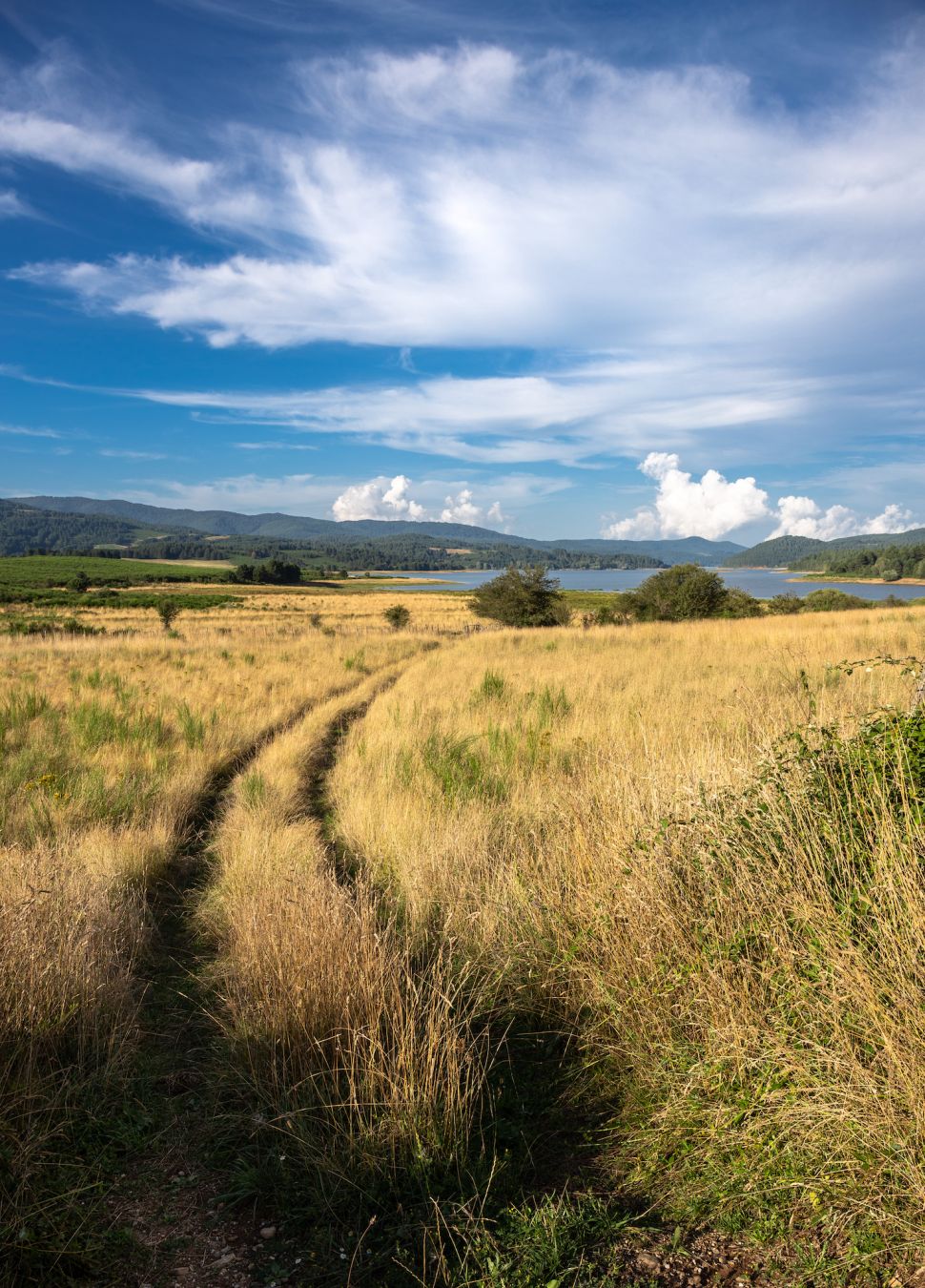 La potenza della natura nel Parco nazionale della Sila ©FRANCESCO ALTOMARE