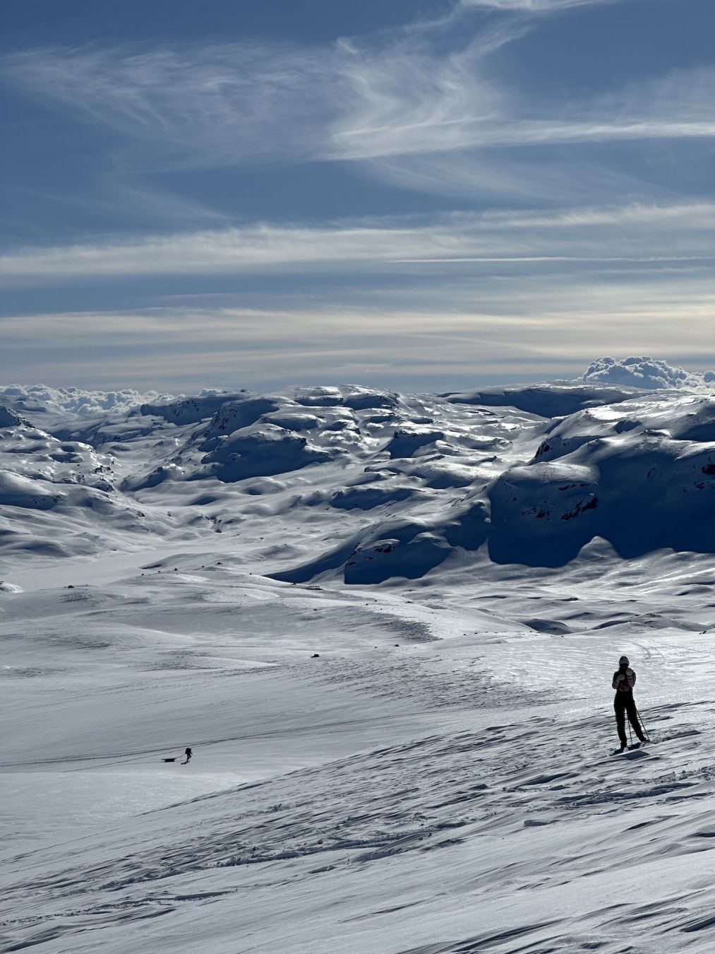 Hardangervidda è pura natura selvaggia ©Annafromnorway/Shutterstock