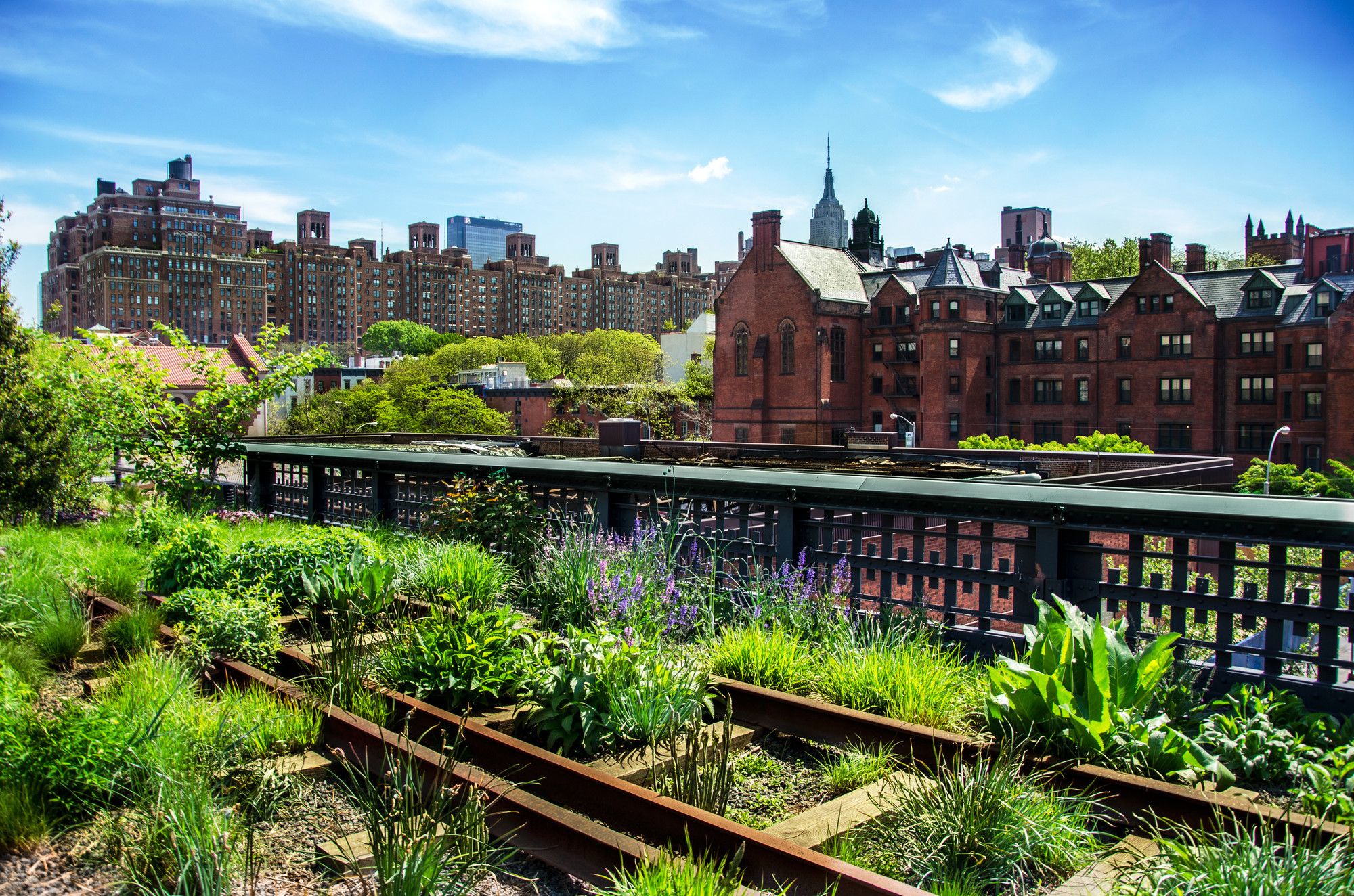 Particolare della High Line a New York ©Albachiaraa/Shutterstock