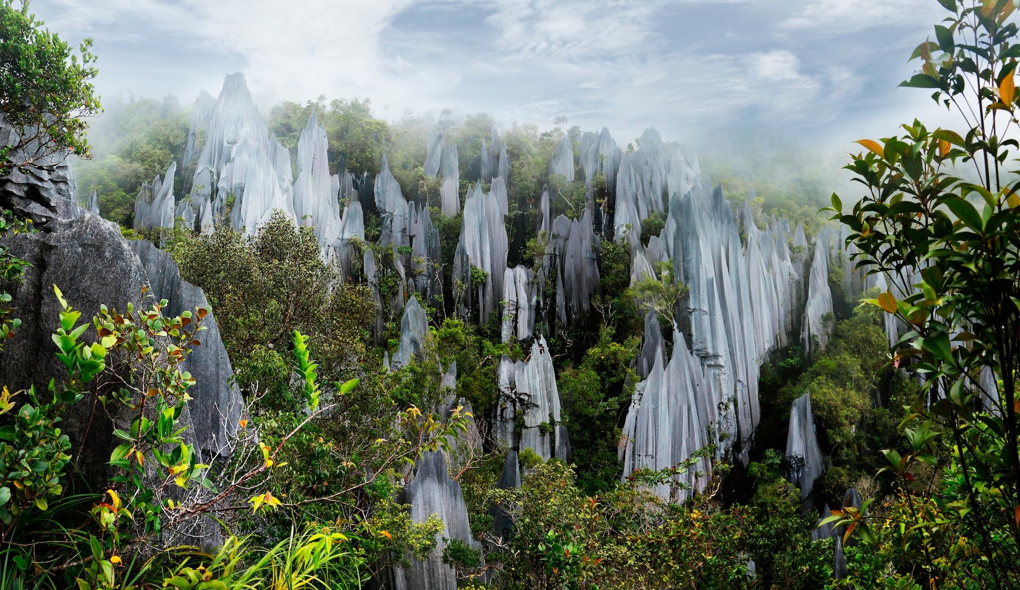 I Pinnacles del Gulung Mulu National Park , nel Borneo ©michel arnault/Shutterstock