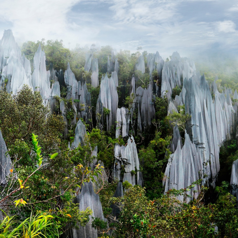I Pinnacles del Gulung Mulu National Park , nel Borneo ©michel arnault/Shutterstock