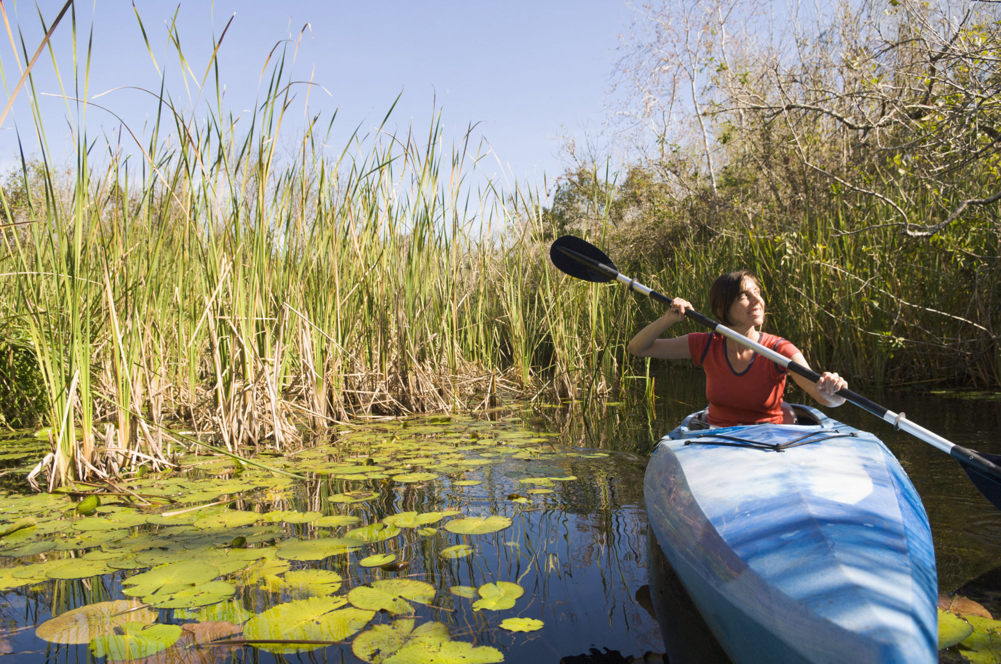 in canoa nel National Park Everglades, usa