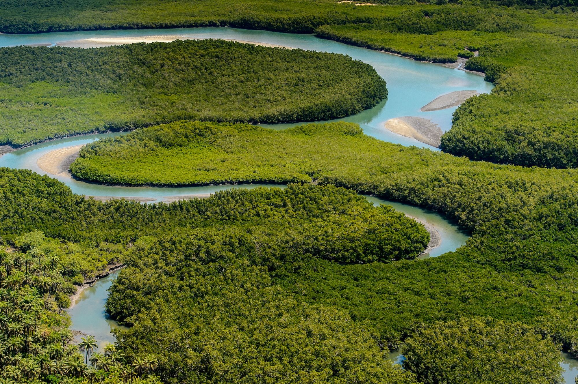 L’arcipelago delle Bijagos è classificato come riserva della Biosfera Unesco ©Anton_Ivanov/Shutterstock