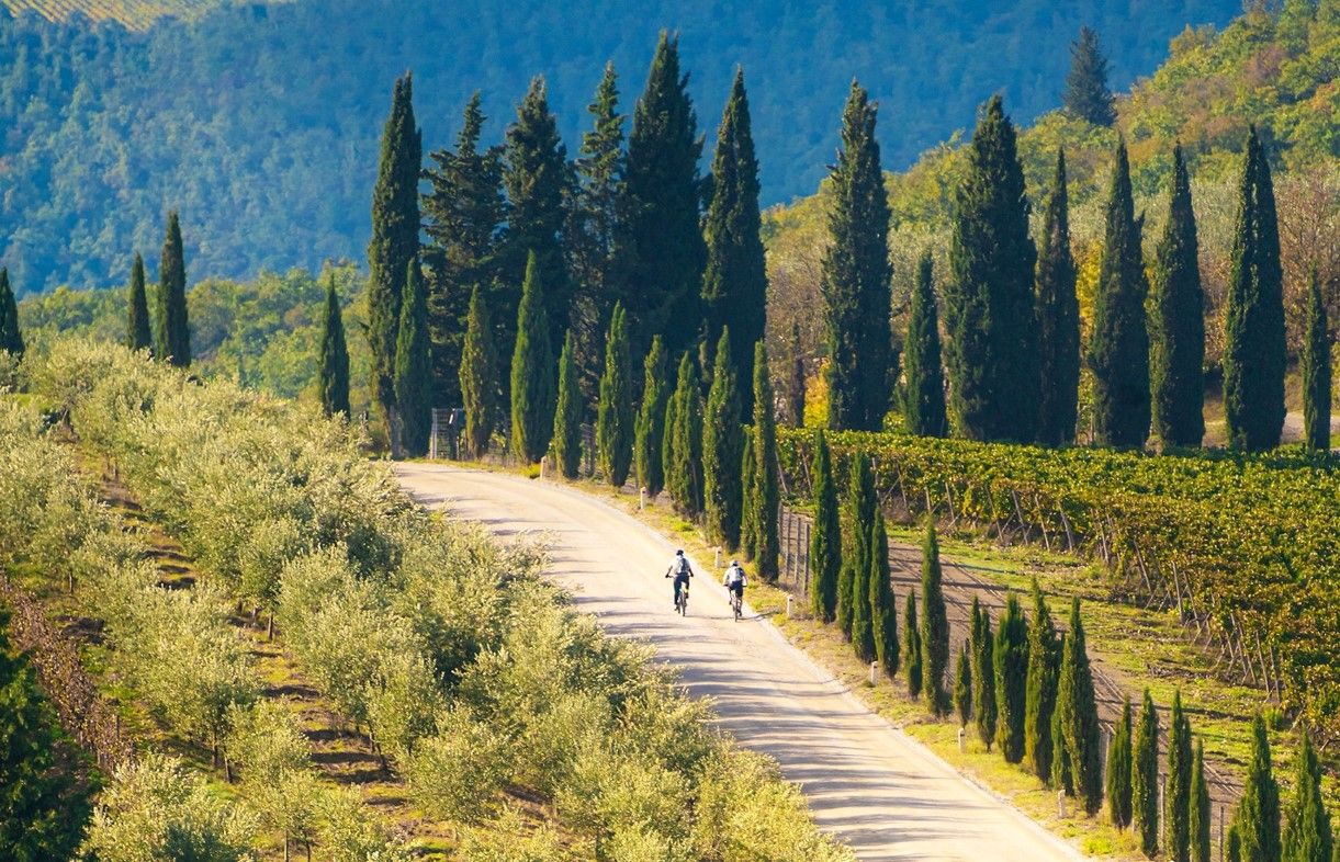 Gaiole in Chianti, nelle terre dell’Eroica. Credits Andrea Bonfanti / Shutterstock
