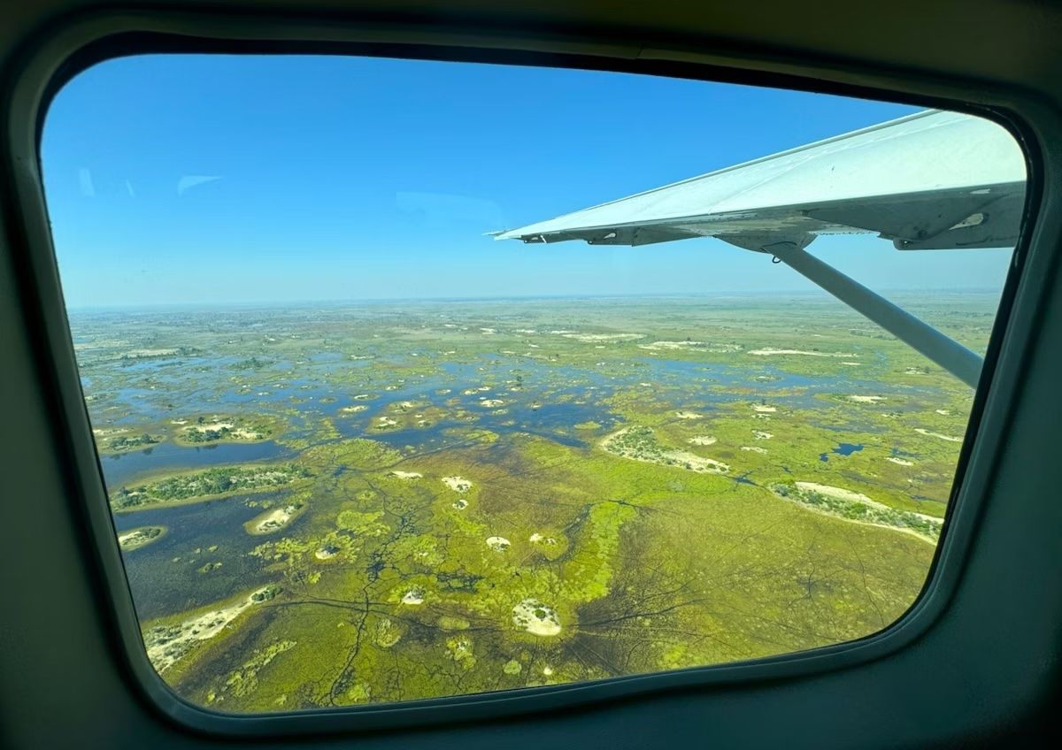 Le viste dai voli sul Delta dell’Okavango sono scenografiche. Brian Stuart Nel/Shutterstock