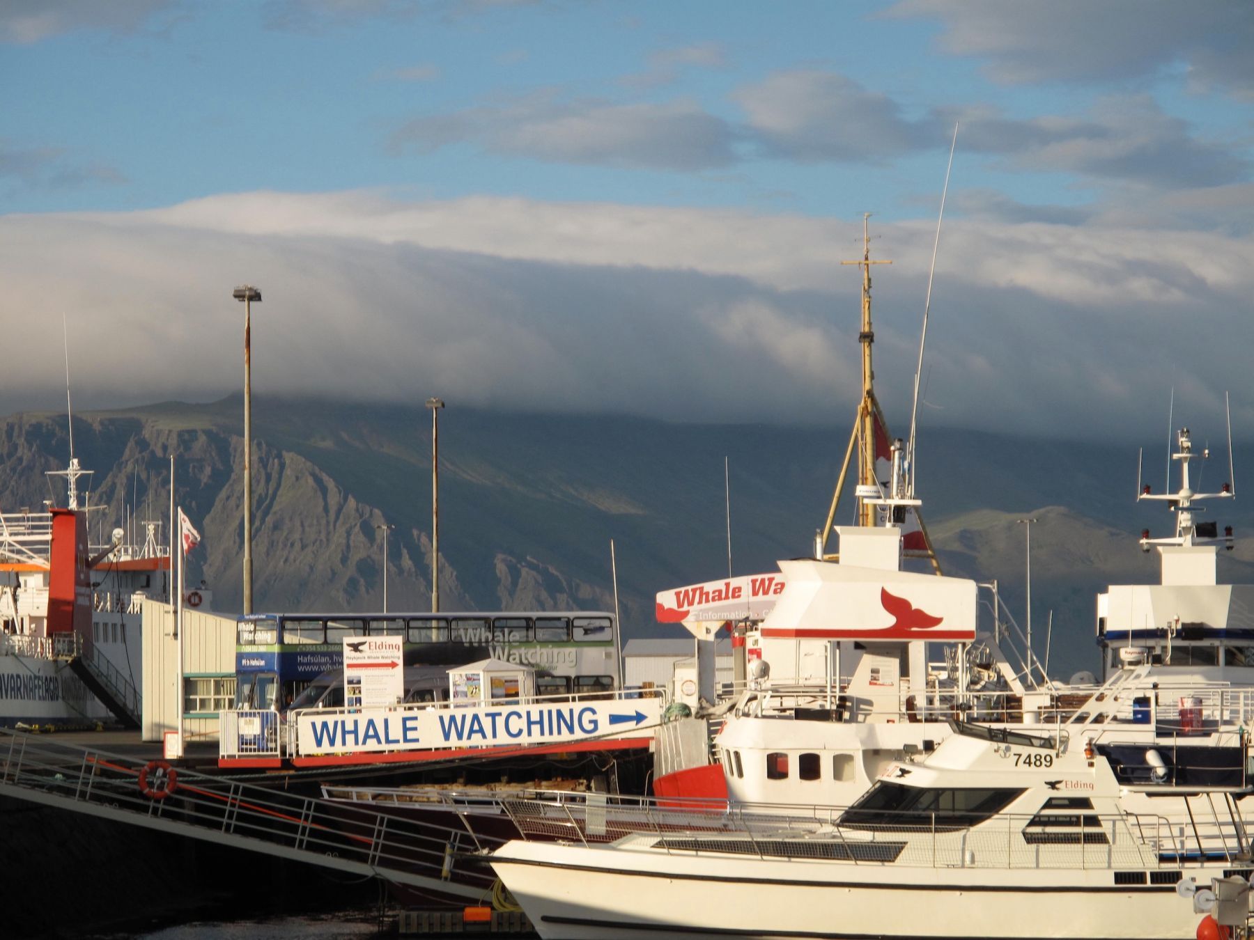 Il porto di Reykjavik © Valerio Corzani / Lonely Planet Italia