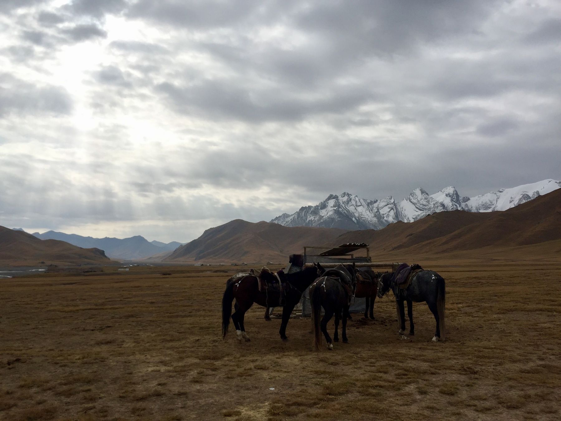 I cavalli sellati, pronti per un trekking mattutino © Lonely Planet / Megan Eaves