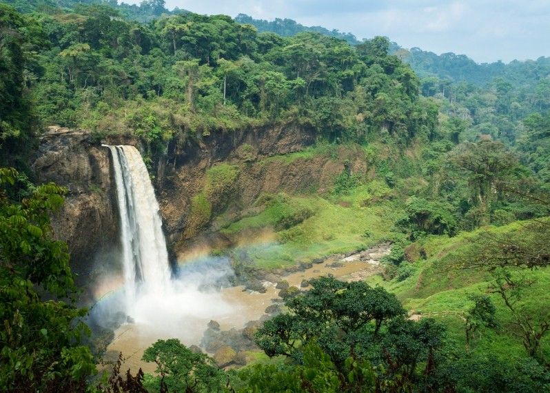 I fiumi del Camerun sono pronti per essere scoperti. © antoineed / Getty Images