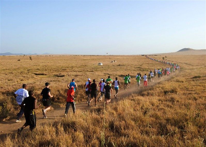 I partecipanti alla Safaricom Marathon, in Kenya, potrebbero trovarsi a correre per un tratto in compagnia delle giraffe. ©Phil Moore/Getty Images