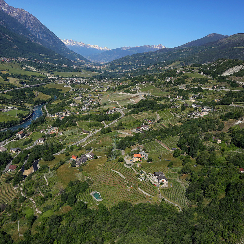 Valle d'Aosta, i vigneti di Chambave. Credits Enrico Romanzi