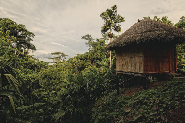 Come organizzare un viaggio nell'Amazzonia ecuadoriana