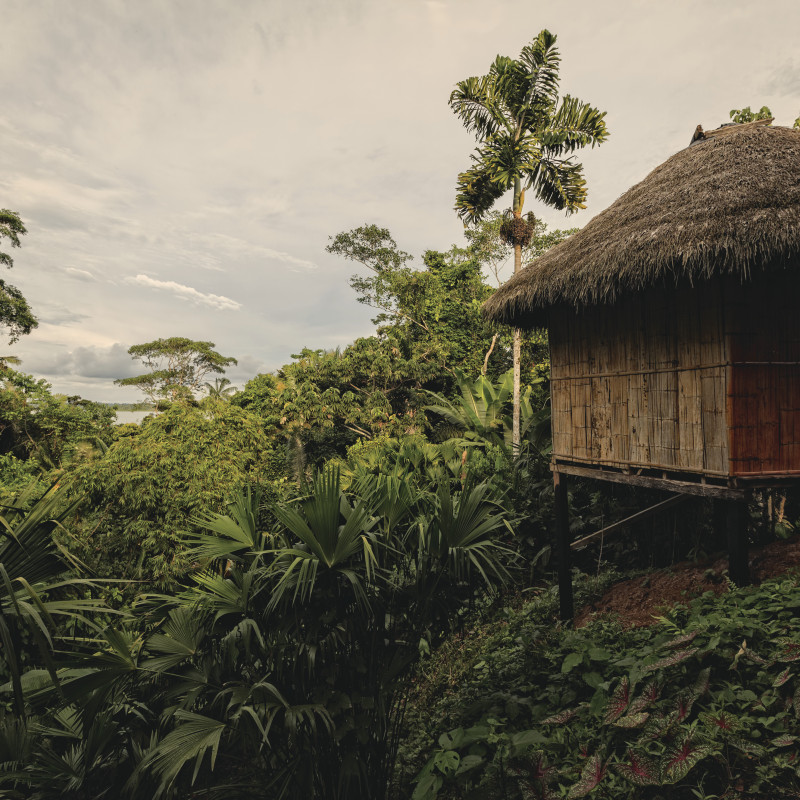 Dormire in un lodge in mezzo all'Amazzonia