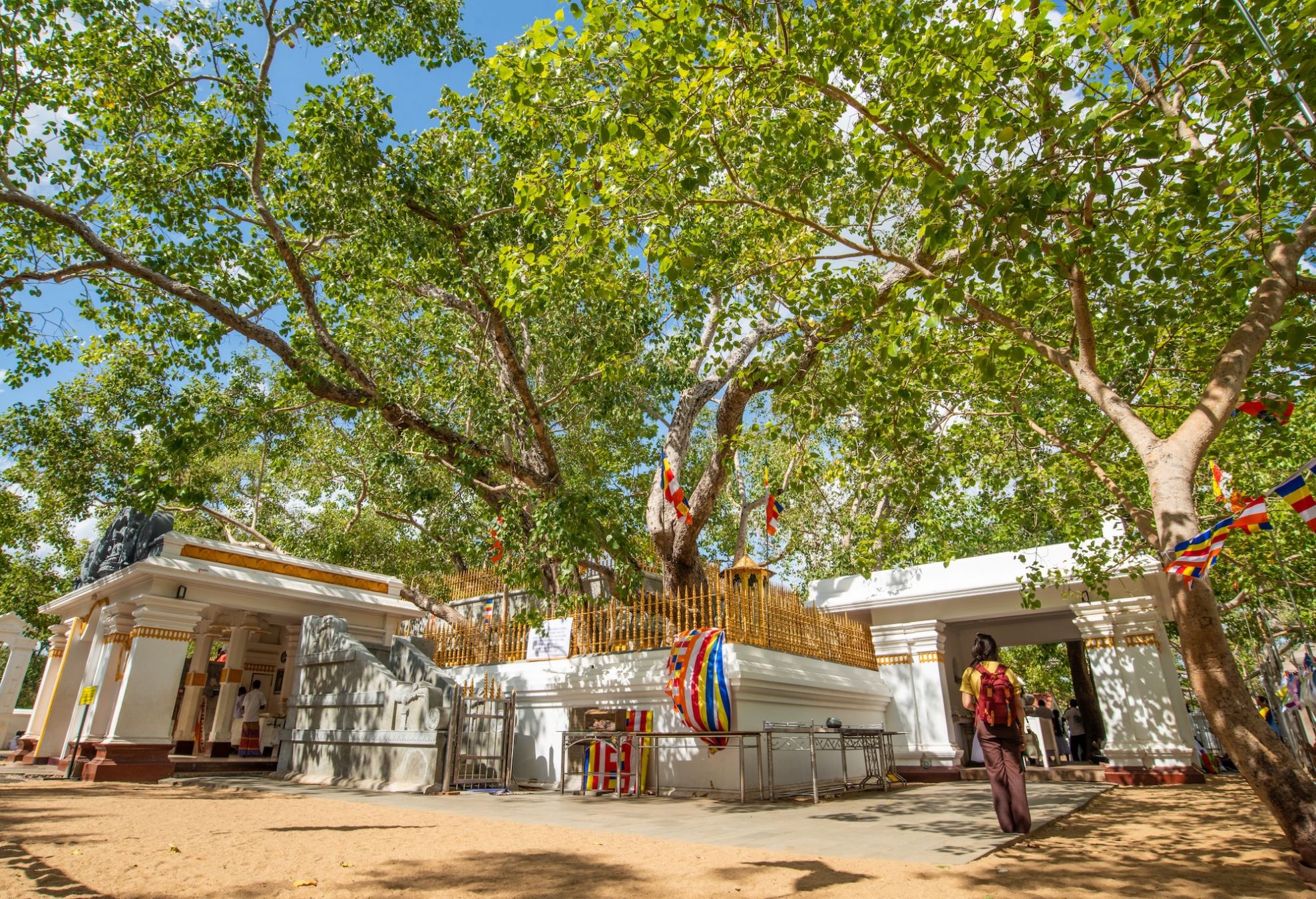 Il sacro albero della bodhi nell’antica capitale di Anuradhapura © Dasun’s Viewfinder / Shutterstock