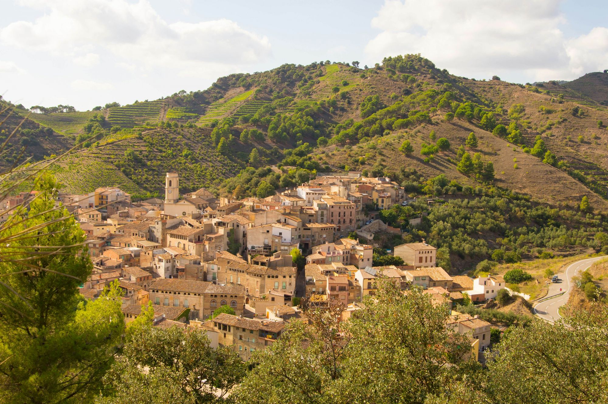 Il Priorat, nel sud-ovest della Catalogna, è una rinomata zona vinicola. © Ettenaej/Shutterstock